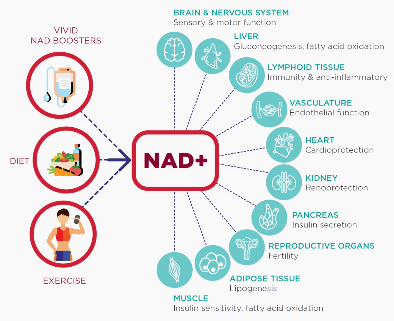 nad iv therapy